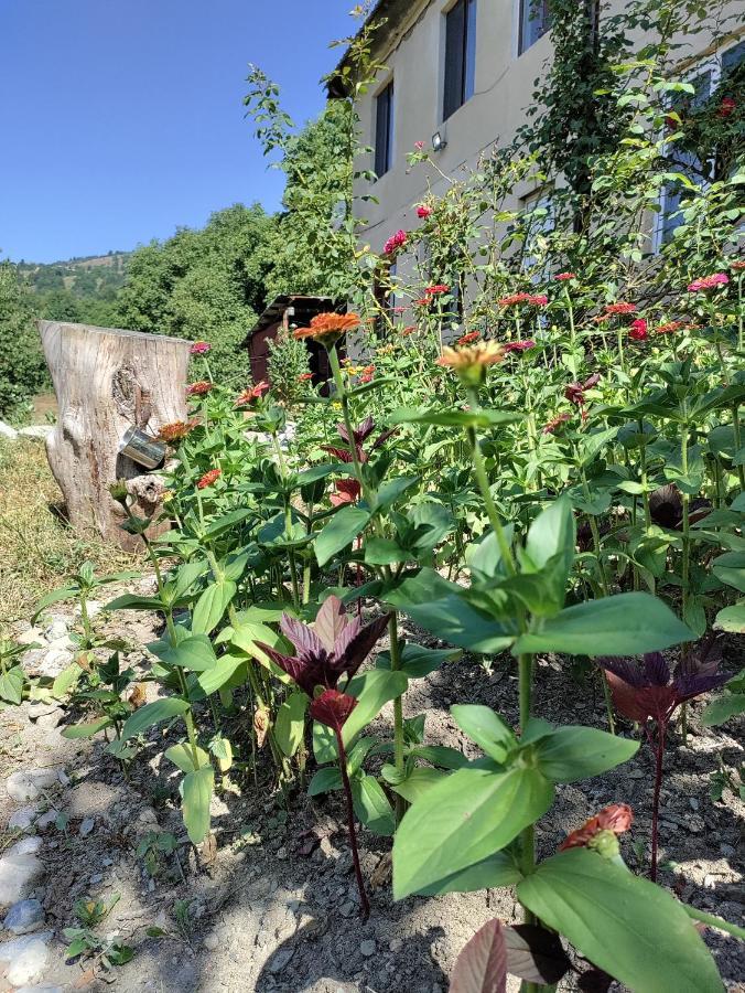 Village House Mestia Exterior photo